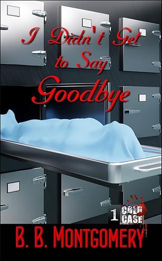 I Didn't Get to Say Goodbye (Cold Case Book 1)
